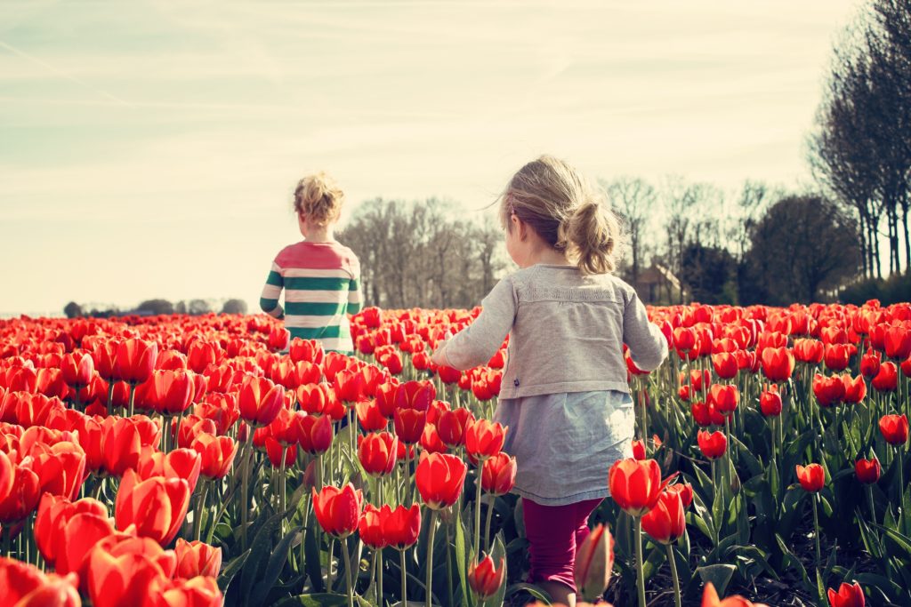 Bilingual Kids in the Netherlands-1