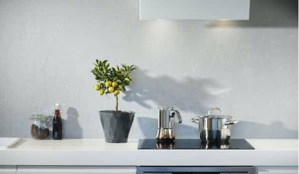 Renting Out Your Property in the Netherlands-Expat Republic-1
