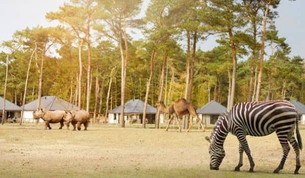 Safaripark Beekse Bergen