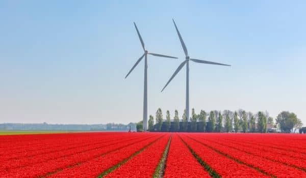 Beautiful Bike Routes in the Netherlands Keukenhof Tulip Fields