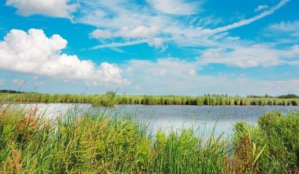 Lauwersmeer National Park