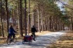 Stunning Bike Routes in the Netherlands-featured image