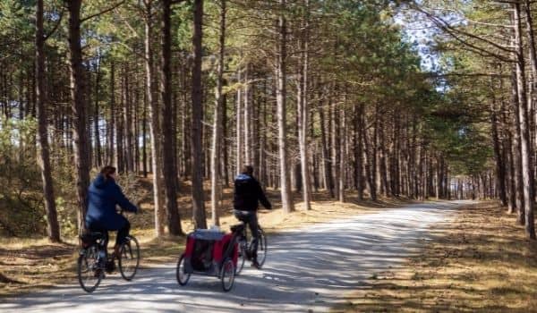 Stunning Bike Routes in the Netherlands-featured image