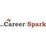 career coaches on the netherlands the career spark