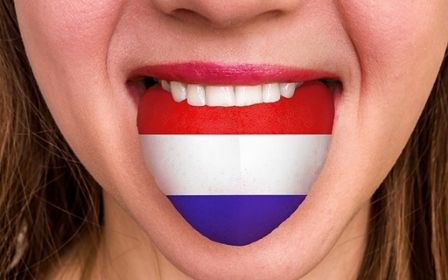 Basics of Dutch Webinar