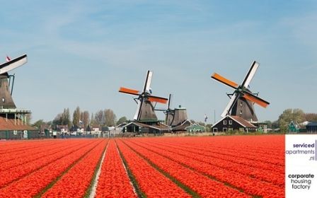 moving to the netherlands