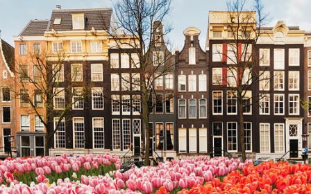 Moving to The Netherlands Webinar and Q&A - Expat Republic
