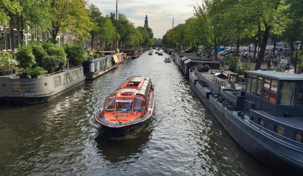 Swimming in the Amsterdam Canals Expat Republic