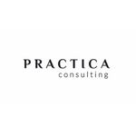 practica consulting