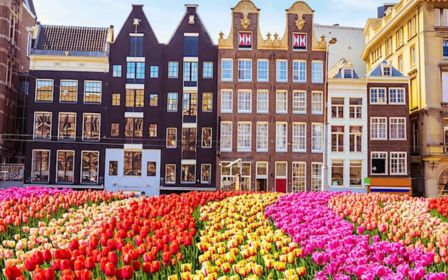 Moving to The Netherlands Webinar