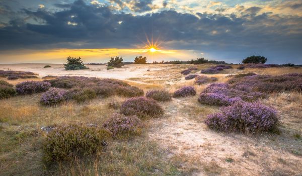 Hoge Veluwe National Park