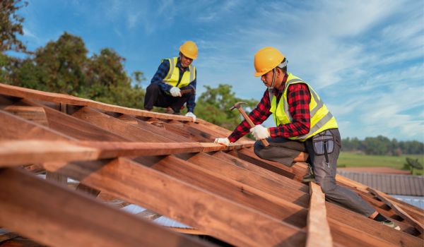 two migrants in the netherlands working on a roof