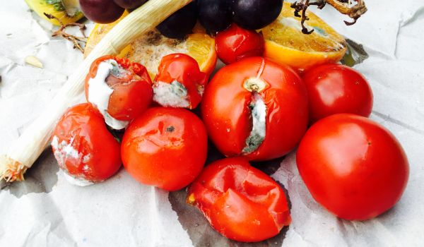 a pile of rotten tomatoes and other vegetables