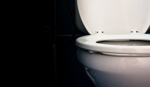 a toilet with the lid open