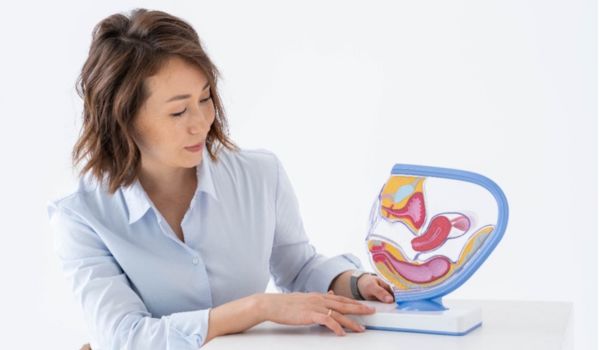 a female doctor showing a model of the womb