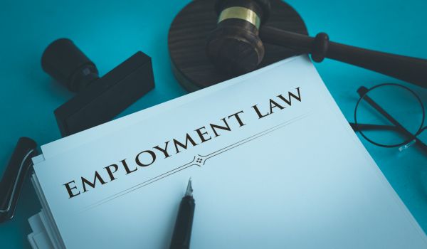 a graphic representing employment law in the netherlands
