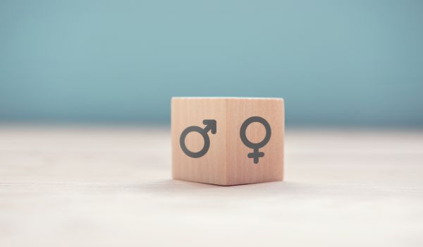 Wood cube with male equals female symbol against blue background