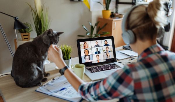 a woman working from home with her cat on the laptop