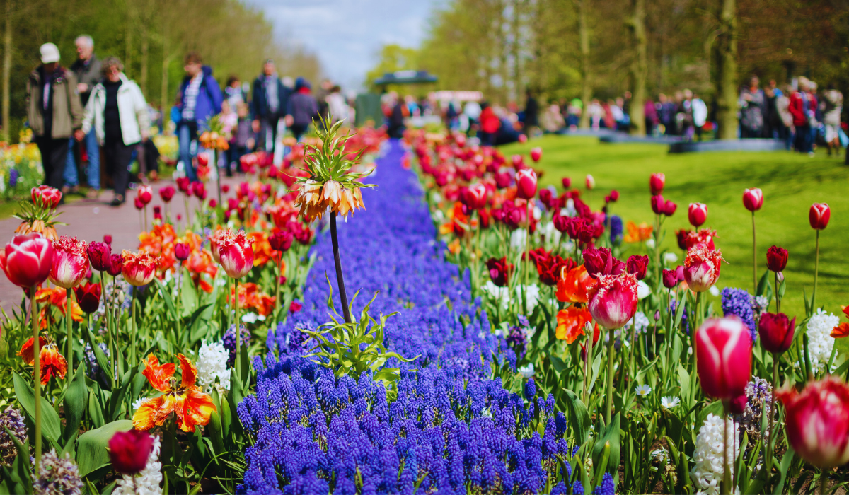 Keukenhof Gardens