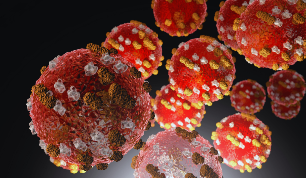 a cluster of measles cells