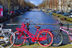 Three bikes against a canal on a sunny day in the netherlands