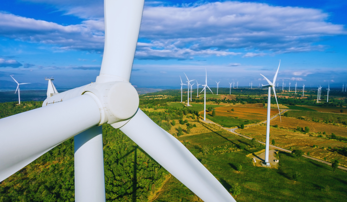 A wind farm that supplements the energy in the Dutch economy