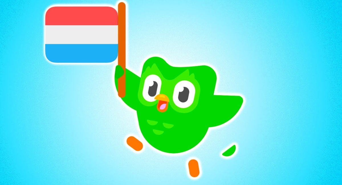 The Duolingo owl holding a Dutch flag representing its lessons