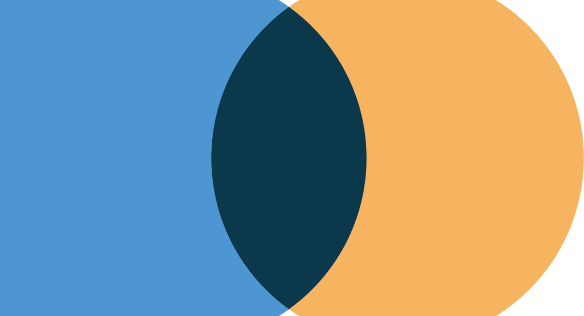 The Dutch-Online Language learning app logo