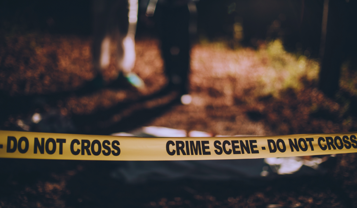 a crime scene in the forest