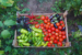 A fresh organic farming vegetable selection ina wooden crate
