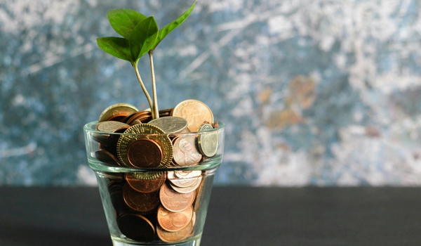 a plant growing out of a put of coins representing investment options for expats in the netherlands